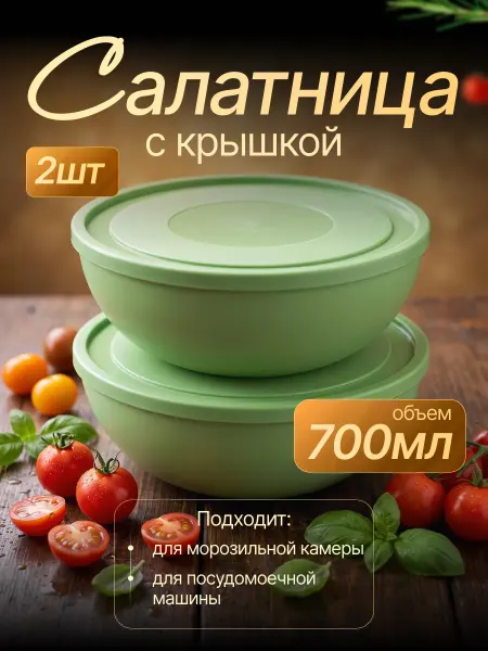 ELF plast Салатник пластиковый с крышкой 0,7 л в наборе 2 шт