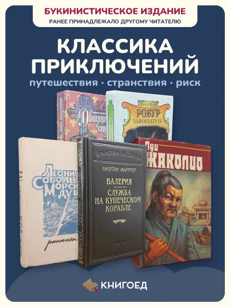 Книгоед Приключения книги Дюма Верн путешествия романы классика