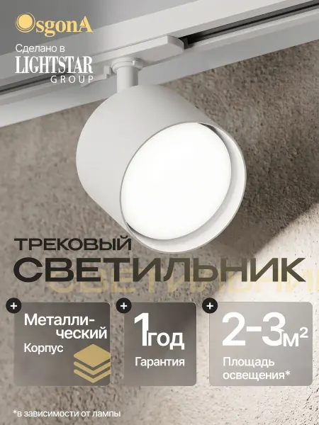 Lightstar Светильник трековый Accia 020556