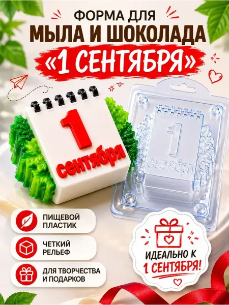 AnyMolds Календарь 1 Сентября форма пластиковая