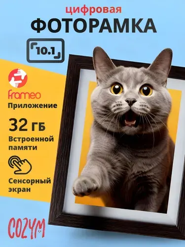 Цифровая фоторамка Wi-Fi 10 дюймов, Frameo