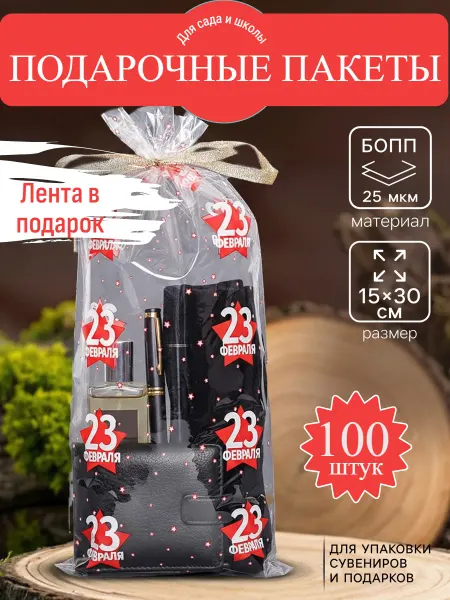 Подарочные пакеты мужчинам 23 февраля, в школу и садик, 100