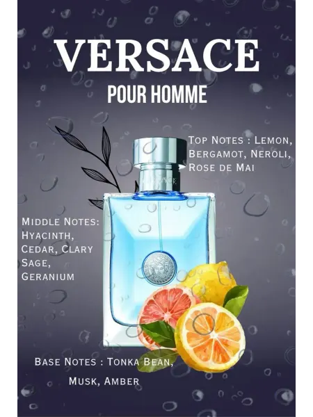 Духи-ручка Духи мужские VERSACE POUR HOMME 100 ml