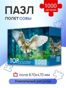 TOPpuzzle ПАЗЛЫ 1000 элементов. ПОЛЕТ СОВЫ.Пазлы для взрослых и детей. . (Арт.ШТ1000-3870)