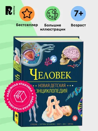 Человек. Новая детская энциклопедия для начальной школы. 1000 фактов для детей | Клюшник Лариса Владимировна