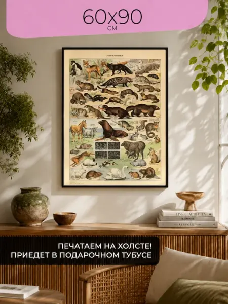 ПростоПостер Постер Плакат Картина Виды животных