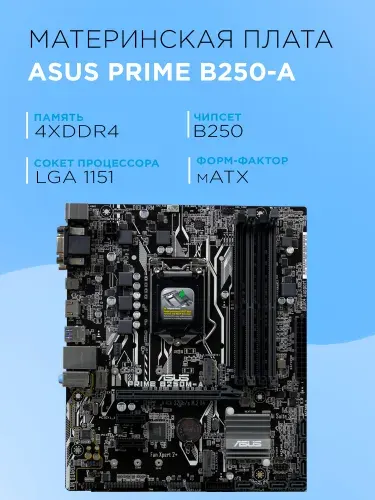 ASUS Prime B250M-A, LGA 1151, DDR4, Материнская плата