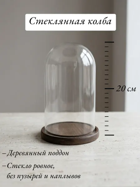Клош стекло Пылезащитная витрина на подставке дерево для салона красоты