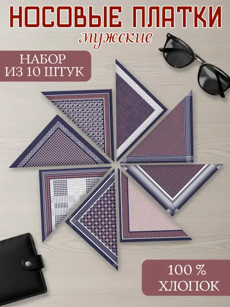 Snob 13 Носовые платки мужские набор 10 шт