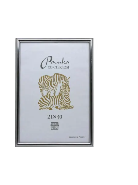 Зебра Рамка А4 21x30 см, пластиковый багет, 14 мм, серебристая