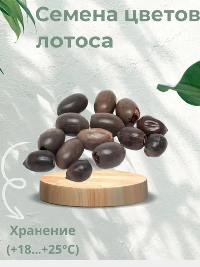 Семена цветов лотоса, орехоносный, многолетнее водное растение, 10 штук