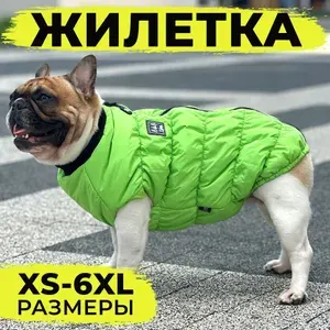 Жилет для собаки водонепроницаемый, жилетка утепленная для средних и крупных пород собак, демисезонная одежда для животных, цвет салатовый