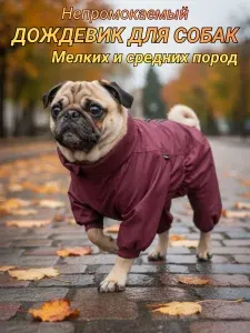 Дождевик для собак мелких и средних пород,водонепроницаемый,на молнии