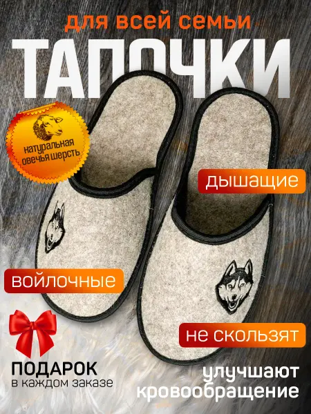 Экотека Домашние тапочки мужские войлочные натуральные закрытые
