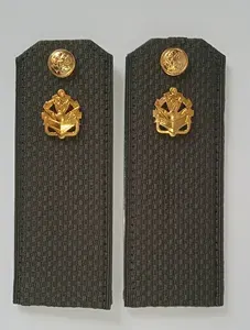 Погоны РЯДОВОЙ Инженерные войска (офиска,пластик)