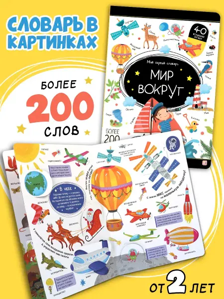 Книжка с окошками для детей Мой первый словарь Мир вокруг