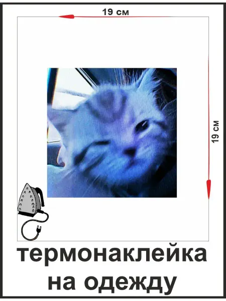 1VUSHKA-art Тремонаклейка уставший кот