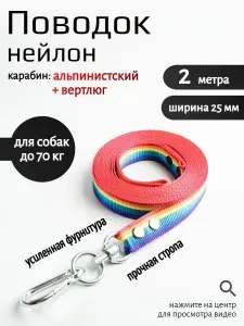 Поводок для собак с вертлюгом и альпинистским карабином нейлон 2 м х 25 мм (радуга)