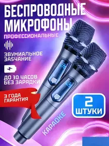 2 беспроводных микрофона для караоке,Профессиональные микрофоны, универсальная зарядка 2.4 G, один на двоих, домашний уличный звук в формате live UHF