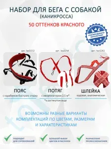 Набор для бега с собакой (каникросс). Пояс с карабином быстрого спуска, потяг с амортизатором 2,5 м, ездовая шлейка L