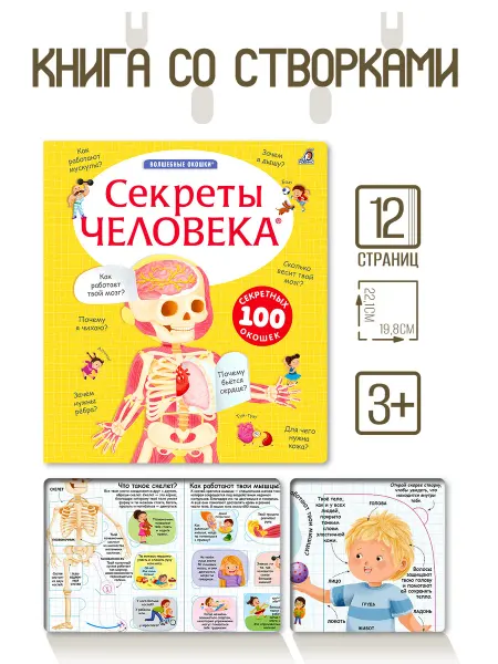 Издательство Робинс Книга Волшебные окошки. Секреты человека