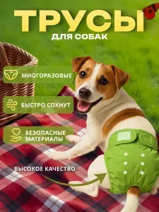 Трусы для собаки во время течки многоразовые S, подгузники для собак мелких пород впитывающие