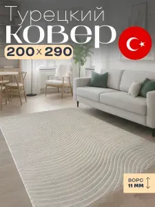 Ковер 200х300 для комнаты на пол Турция Radjab Carpet