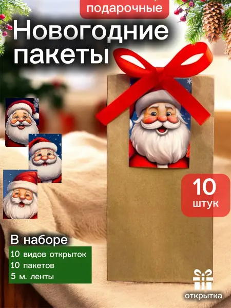 Emeli Новогодние пакеты для упаковки подарков на новый год 2026