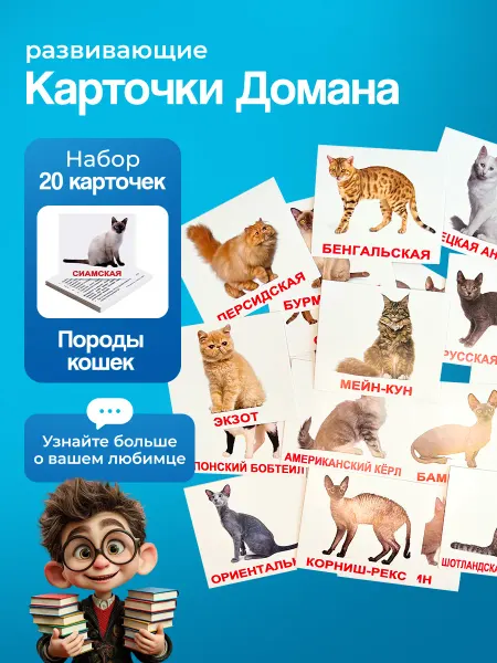 Вундеркинд с пеленок Карточки Породы кошек (мини), по методике Г. Домана