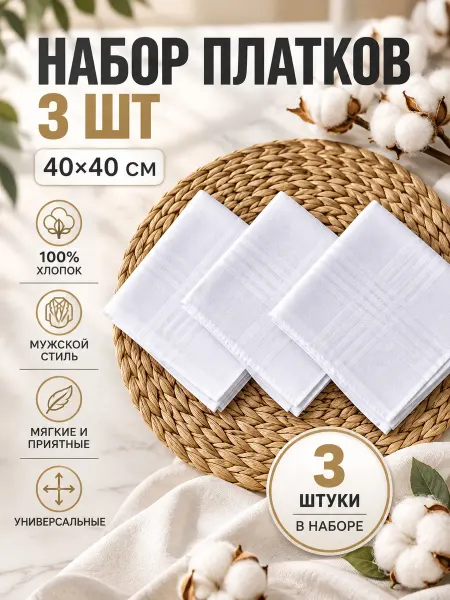 Платки носовые мужские/ носовые платки Набор платков 3 предмета 40х40 см