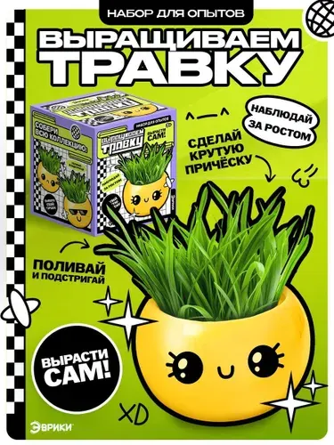 Выращиваем травку, детский набор для выращивания растений, набор опытов для детей