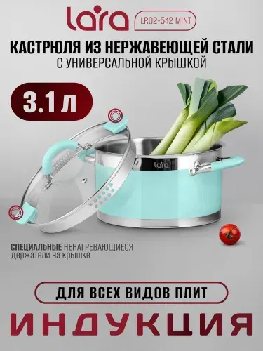 Lara Кастрюля 3,1 л из нержавеющей стали LR02-542