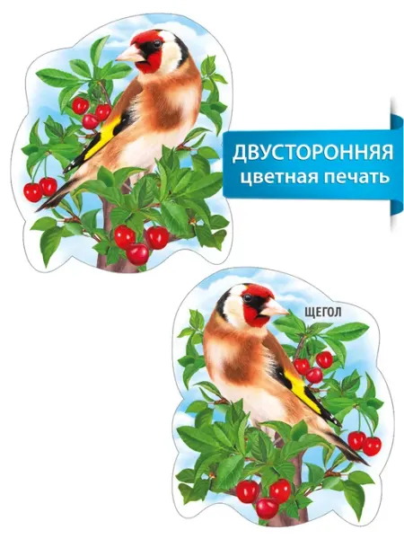 ТМ Мир поздравлений Плакат вырубной для детей Птицы