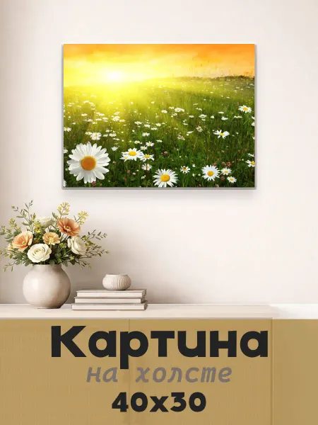 LipPoster Картина постер на стену 40 X 30 Ромашка