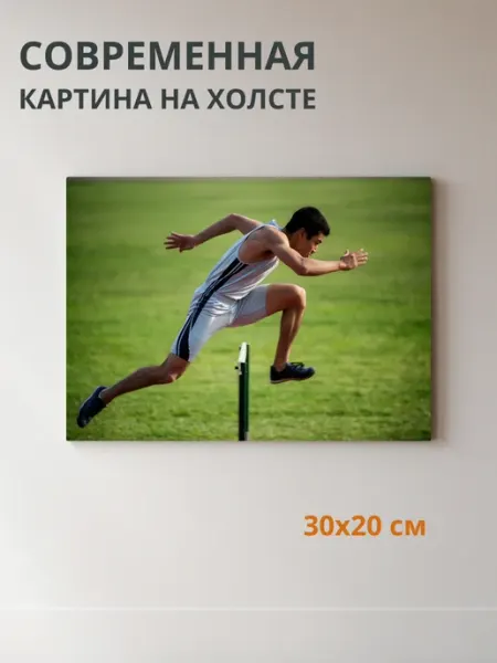 DZiVA Картина на холсте Спорт 30x20 см