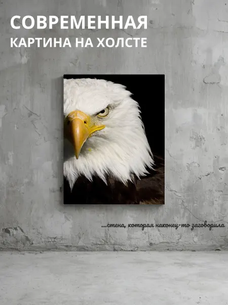 DZiVA Картина на холсте Орел птица 30x40 см