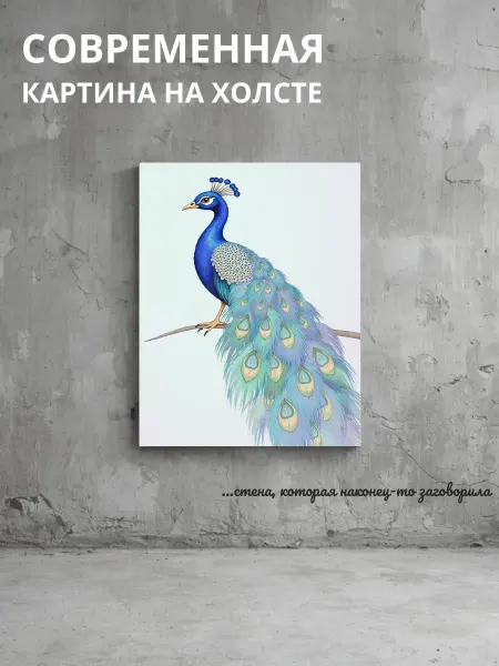 DZiVA Картина на холсте Павлин 30x40 см