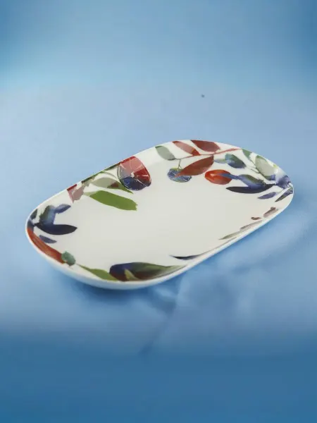 Plover Блюдо для подачи закусок "Fruits Line", керамика, 30х15 см