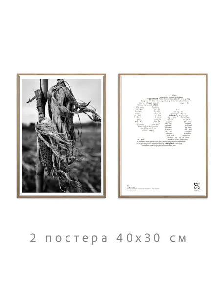 Onllyart Постеры черно-белая коллекция №23 30х40