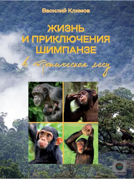 КТК Галактика Жизнь и приключения шимпанзе в тропическом лесу