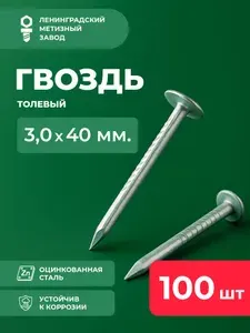 Гвоздь (100шт) Толевый Оцинкованный 3х40