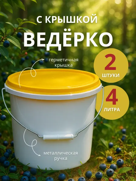Ведро с крышкой пластиковое 4 литра 2 штуки