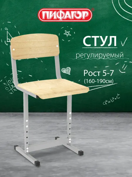 Пифагор Стул ученический для школьника к парте регулируемый рост 4-7