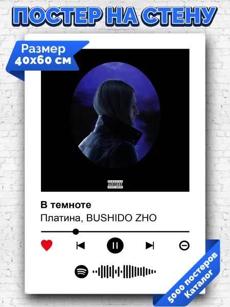 Arthata-spotify постер Спотифай постер Спотифай постер Платина BUSHIDO ZHO - В темноте 40х60
