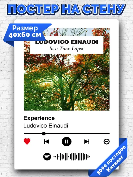 Arthata-spotify постер Спотифай постер Спотифай плакат Ludovico Einaudi - Experience 40х60