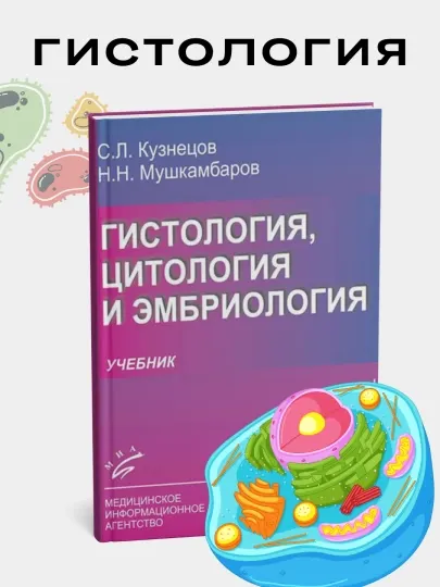Кузнецов, Мушкамбаров: "Гистология, цитология и эмбриология", медицина