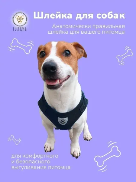 ГолдиК Шлейка для собак и кошек мелких и средних пород с поводком