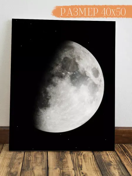 Интерьерная картина Аниме Картина на стену Луна 50x40
