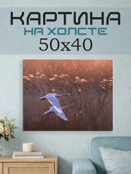 ПринтСтори Картина на стену 50x40 Гуси