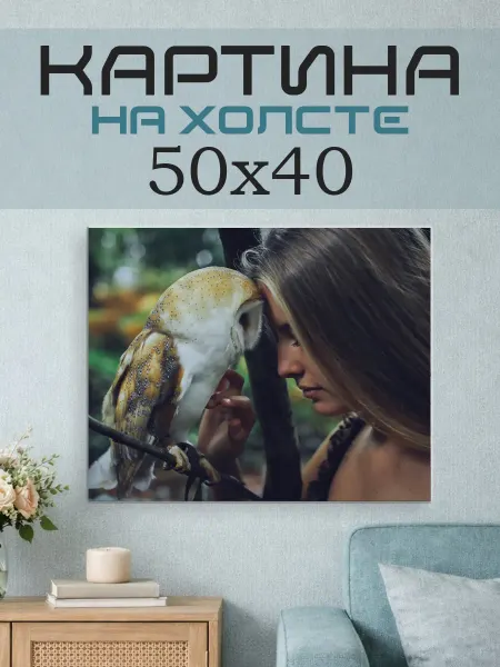 ПринтСтори Картина на стену 50x40 Девушка и сова